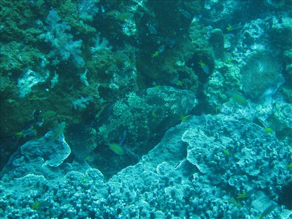 Similan Day 1 031.jpg